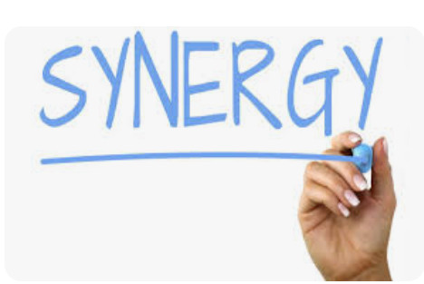 Synergy 1
