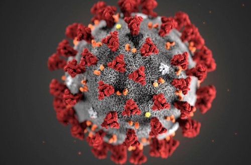 Coronavirus logo